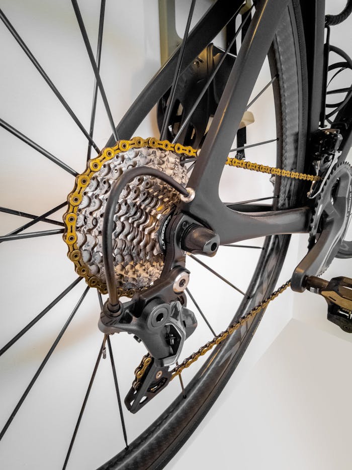 Detailed view of a bicycle's gear and chain, showcasing mechanical precision.